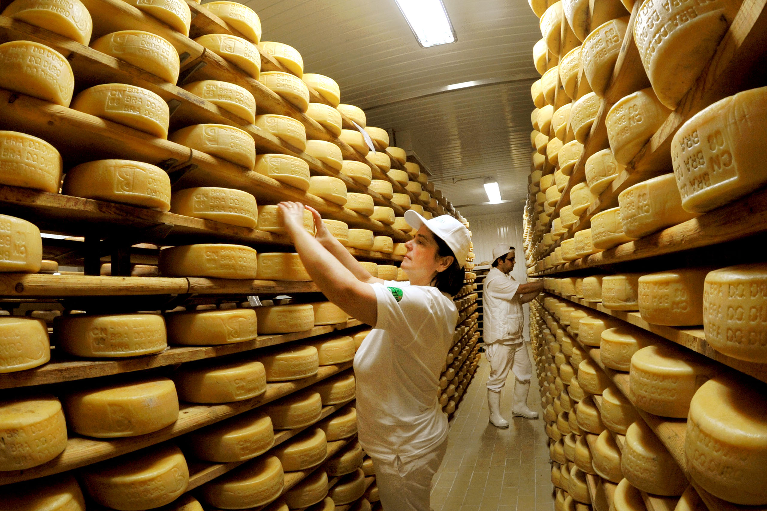 PROCESSING AND RIPENING
